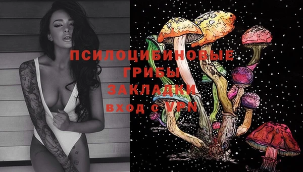 круглые Каменногорск