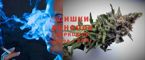 PSILOCYBIN Каменск-Шахтинский